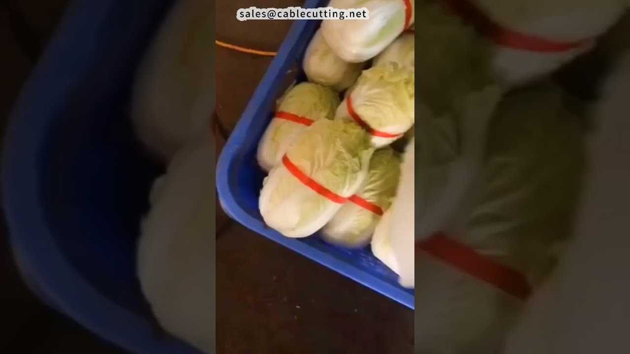 Mesin Pengikat Otomatis untuk Mie, Kubis, dan Sarung Tangan | Peralatan Layanan Makanan #pabrik #mesin #diy