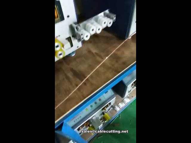 Automatic middle stripping machine, 12 Section Middle Stripping machine