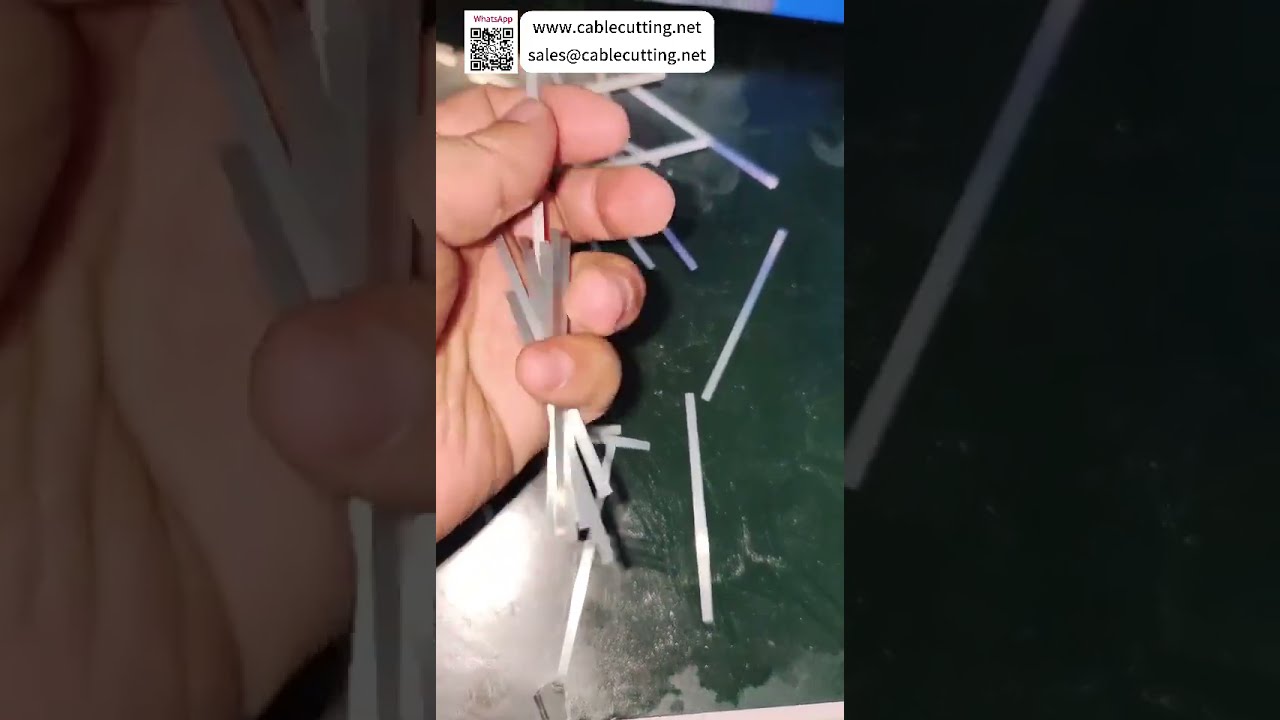 Mesin Pemotong Tabung Otomatis Model 100 untuk Strip Baja Berlapis Nikel 0,08–2,5 mm | Potong Presisi Tinggi