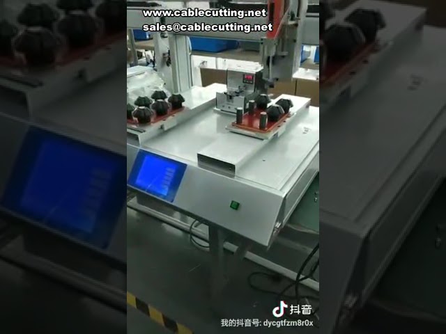 Mesin Dispenser Dual Platform & Dual Y-Axis: Work Alternatif untuk Produksi Tinggi