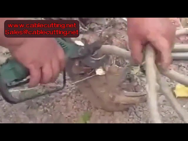 Gunting Pangkas Pneumatic Alat Kebun Bonsai Anti Slip - Potong Ranting dengan Presisi