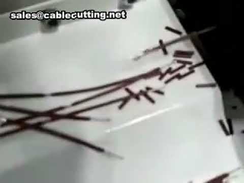Mesin Kupas Kabel & Pemotong Kawat Otomatis – Efisien untuk Produksi Massal