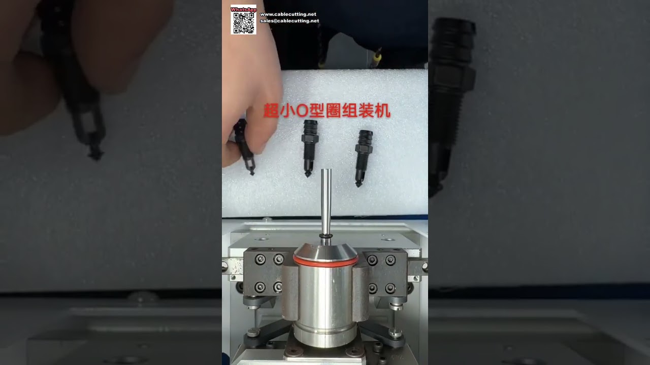Mesin Perakitan Seal O Ring Otomatis Berkapasitas Tinggi untuk Produksi Komponen Penyegel Minyak - Versi Pendek